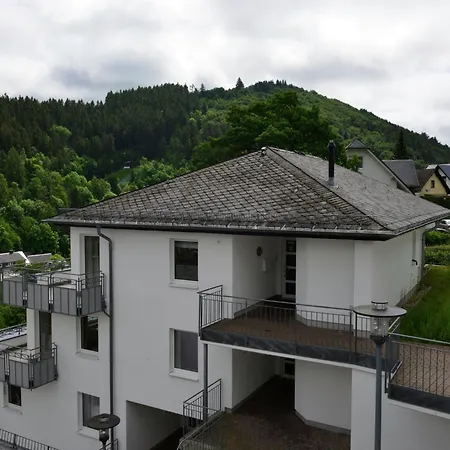 Grosse In Mit Balkon Lägenhet Willingen (Upland)